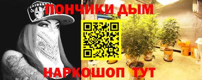 PSILOCYBIN Краснодар