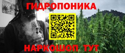 PSILOCYBIN Краснодар