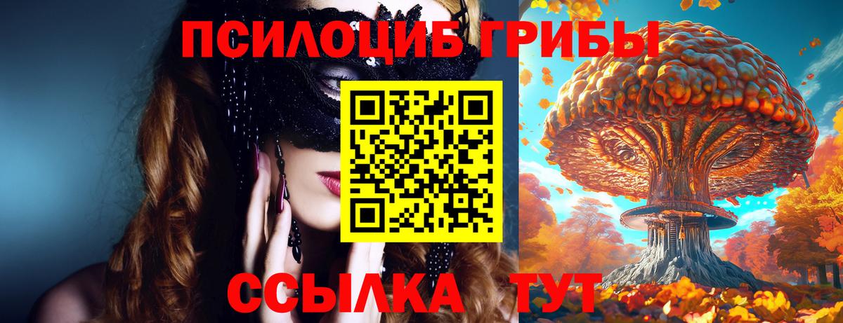 Галлюциногенные грибы MAGIC MUSHROOMS  закладка  Псилоцибиновые грибы Magic Shrooms  Котельники  Вход с VPN 