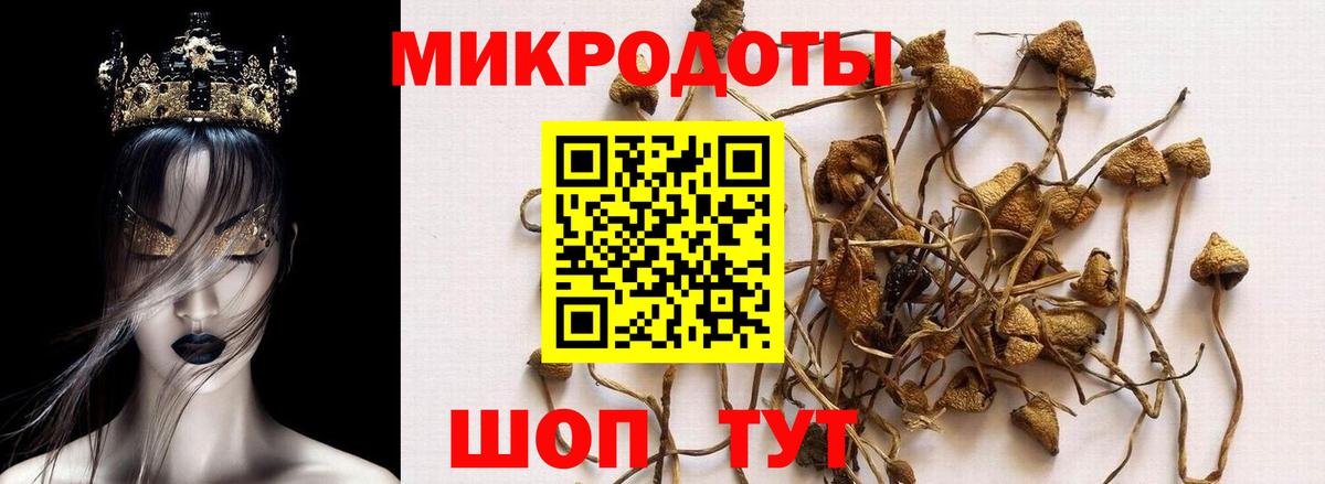 Псилоцибиновые грибы MAGIC MUSHROOMS Котельники